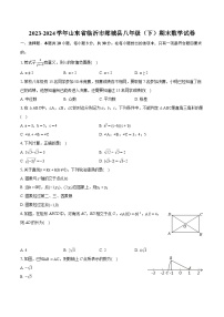 2023-2024学年山东省临沂市郯城县八年级（下）期末数学试卷（含详细答案解析）