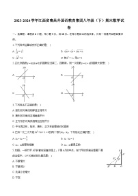 2023-2024学年江西省南昌外国语教育集团八年级（下）期末数学试卷（含详细答案解析）
