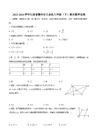 2023-2024学年江西省赣州市大余县八年级（下）期末数学试卷（含详细答案解析）
