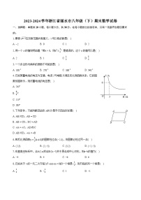 2023-2024学年浙江省丽水市八年级（下）期末数学试卷（含详细答案解析）