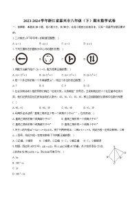 2023-2024学年浙江省嘉兴市八年级（下）期末数学试卷（含详细答案解析）