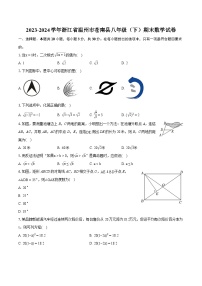 2023-2024学年浙江省温州市苍南县八年级（下）期末数学试卷（含详细答案解析）
