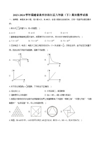 2023-2024学年福建省泉州市洛江区八年级（下）期末数学试卷（含详细答案解析）