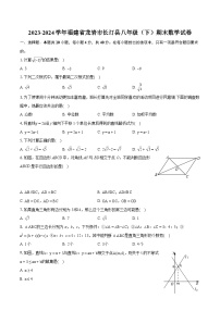 2023-2024学年福建省龙岩市长汀县八年级（下）期末数学试卷（含详细答案解析）