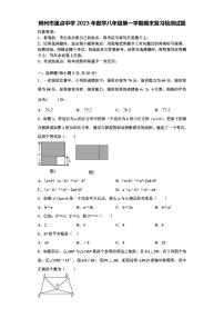 郴州市重点中学2023年数学八年级第一学期期末复习检测试题【含解析】