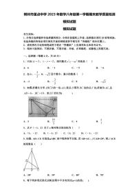 郴州市重点中学2023年数学八年级第一学期期末教学质量检测模拟试题【含解析】