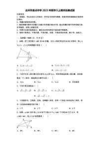 达州市重点中学2023年数学八上期末经典试题【含解析】