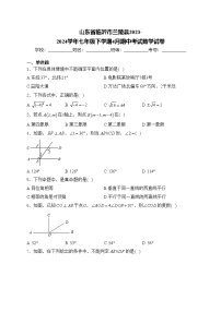 山东省临沂市兰陵县2023-2024学年七年级下学期4月期中考试数学试卷(含答案)