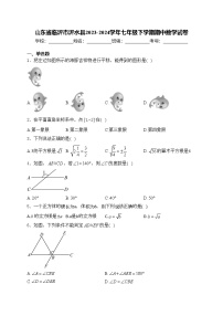 山东省临沂市沂水县2023-2024学年七年级下学期期中数学试卷(含答案)