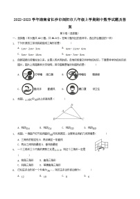 2022-2023学年湖南省长沙市浏阳市八年级上学期期中数学试题及答案