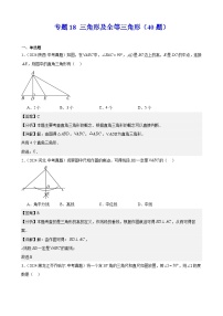 专题18 三角形及全等三角形（40题）（教师卷+学生卷）- 2024年中考数学真题分类汇编（全国通用）