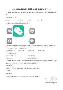 湖南省湘西州凤凰县2024届九年级下学期中考一模数学试卷(含解析)