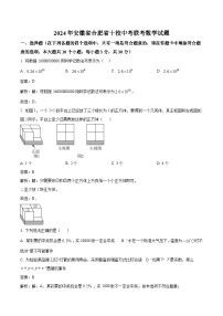 安徽省合肥市十校联考2024届九年级下学期中考模拟数学试卷(含解析)