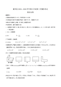 安徽省六安市霍邱县2024届九年级下学期中考二模数学试卷(含答案)
