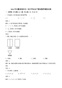 安徽省宿城第一中学2024届九年级下学期中考模拟数学试卷(含解析)