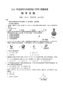 福建省龙岩市2024届九年级下学期学业质量检查（二模）数学试卷(含答案)