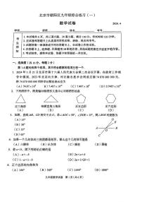 2024北京朝阳初三一模数学试卷