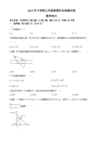 湖南省长沙市南雅中学2023-2024学年九年级上学期开学考试数学试题（原卷及解析版）