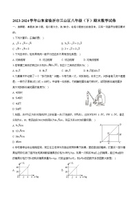 2023-2024学年山东省临沂市兰山区八年级（下）期末数学试卷（含答案）