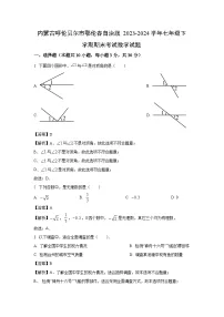[数学][期末]内蒙古呼伦贝尔市鄂伦春自治旗2023-2024学年七年级下学期期末考试试题(解析版)