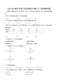 2023-2024学年广东省广州市花都区八年级（下）期末数学试卷（含详细答案解析）