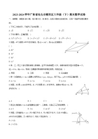 2023-2024学年广东省汕头市潮阳区八年级（下）期末数学试卷（含详细答案解析）