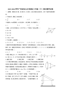 2023-2024学年广东省汕头市龙湖区八年级（下）期末数学试卷（含详细答案解析）