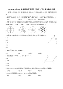 2023-2024学年广东省清远市连州市八年级（下）期末数学试卷（含详细答案解析）
