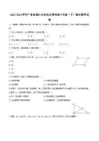 2023-2024学年广东省湛江市赤坎区等两地八年级（下）期末数学试卷（含详细答案解析）