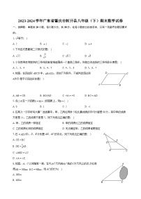 2023-2024学年广东省肇庆市封开县八年级（下）期末数学试卷（含详细答案解析）