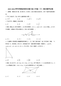 2023-2024学年河南省信阳市潢川县八年级（下）期末数学试卷（含详细答案解析）