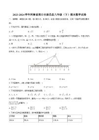 2023-2024学年河南省周口市鹿邑县八年级（下）期末数学试卷（含详细答案解析）