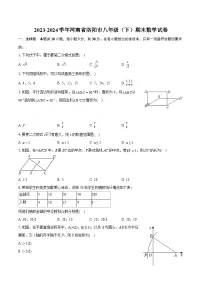 2023-2024学年河南省洛阳市八年级(下)期末数学试卷(含详细答案解析)