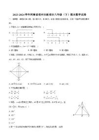 2023-2024学年河南省郑州市新郑市八年级（下）期末数学试卷（含详细答案解析）