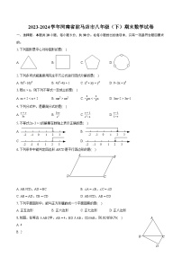 2023-2024学年河南省驻马店市八年级（下）期末数学试卷（含详细答案解析）