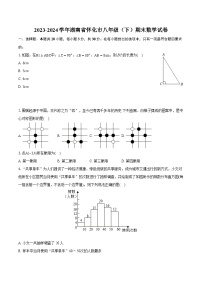 2023-2024学年湖南省怀化市八年级（下）期末数学试卷（含详细答案解析）