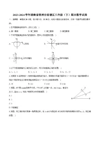 2023-2024学年湖南省株洲市荷塘区八年级（下）期末数学试卷（含详细答案解析）