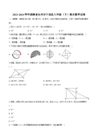 2023-2024学年湖南省永州市宁远县八年级（下）期末数学试卷（含详细答案解析）