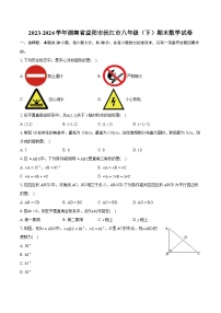 2023-2024学年湖南省益阳市沅江市八年级（下）期末数学试卷（含详细答案解析）