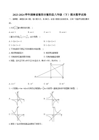 2023-2024学年湖南省衡阳市衡阳县八年级（下）期末数学试卷（含详细答案解析）