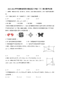 2023-2024学年湖南省邵阳市隆回县八年级（下）期末数学试卷（含详细答案解析）