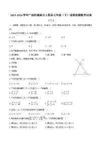 2023-2024学年广西防城港市上思县七年级（下）成果检测数学试卷（二）（含答案）