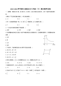 2023-2024学年浙江省丽水市八年级（下）期末数学试卷（含答案）