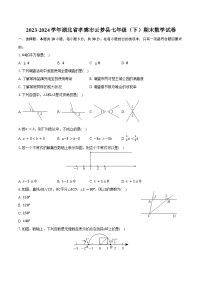 2023-2024学年湖北省孝感市云梦县七年级（下）期末数学试卷（含答案）
