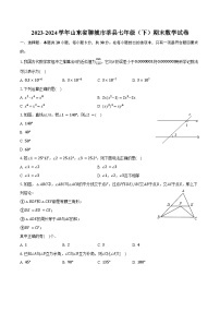 2023-2024学年山东省聊城市莘县七年级（下）期末数学试卷（含答案）