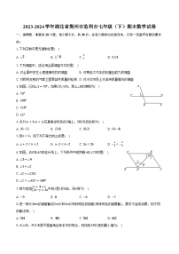 2023-2024学年湖北省荆州市监利市七年级（下）期末数学试卷（含答案）