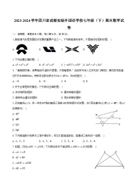 2023-2024学年四川省成都实验外国语学校七年级（下）期末数学试卷（含答案）