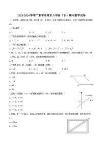 2023-2024学年广东省汕尾市八年级（下）期末数学试卷（含答案）