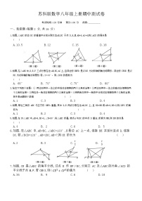 2023-2024学年苏科版数学八年级上册期中测试卷