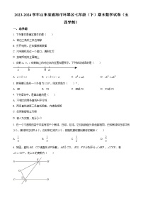 山东省威海市环翠区2023-2024学年七年级下学期期末数学试题（原卷版+解析版）